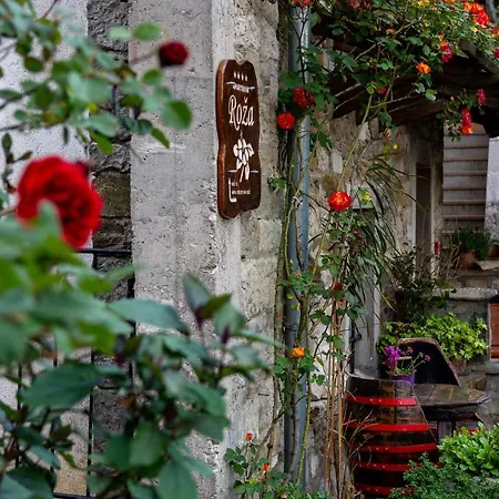 Апартаменты Roza