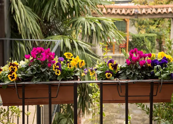 Roza Appartement Roč