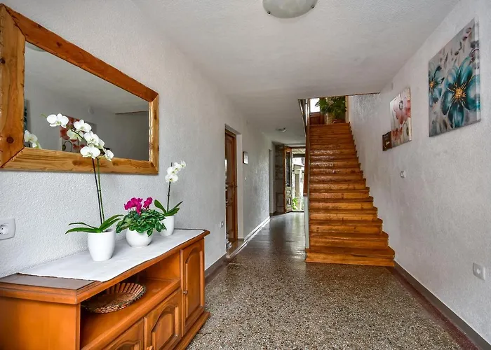 Apartment Roza